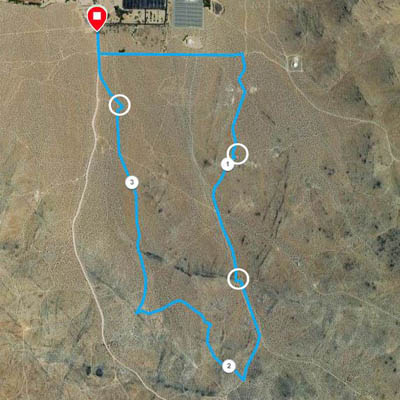 Strava Route Map
