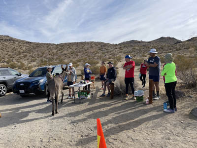 At the finish